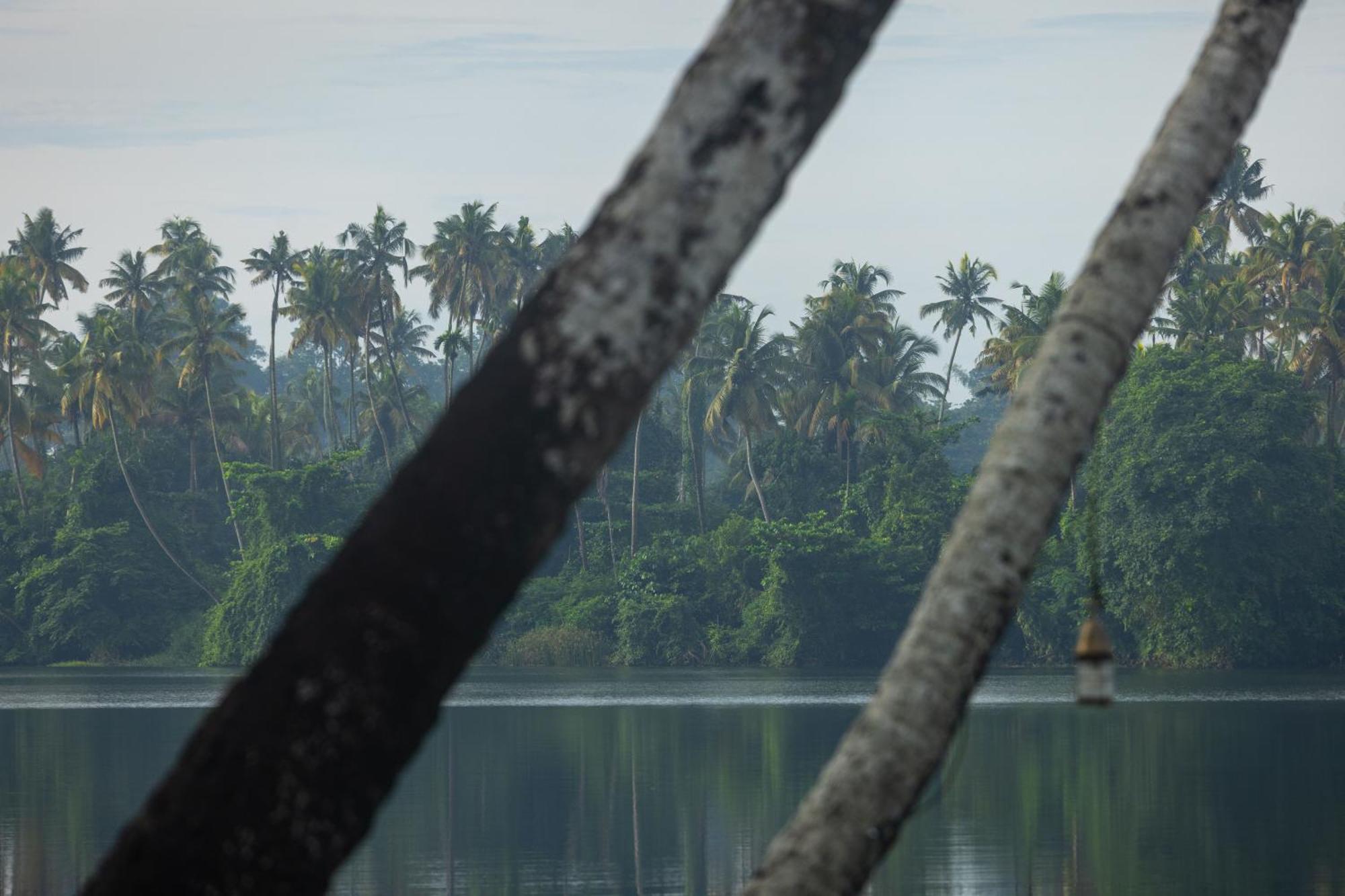 Cranganor History Cafe & Riverside Chateau North Paravur Екстер'єр фото
